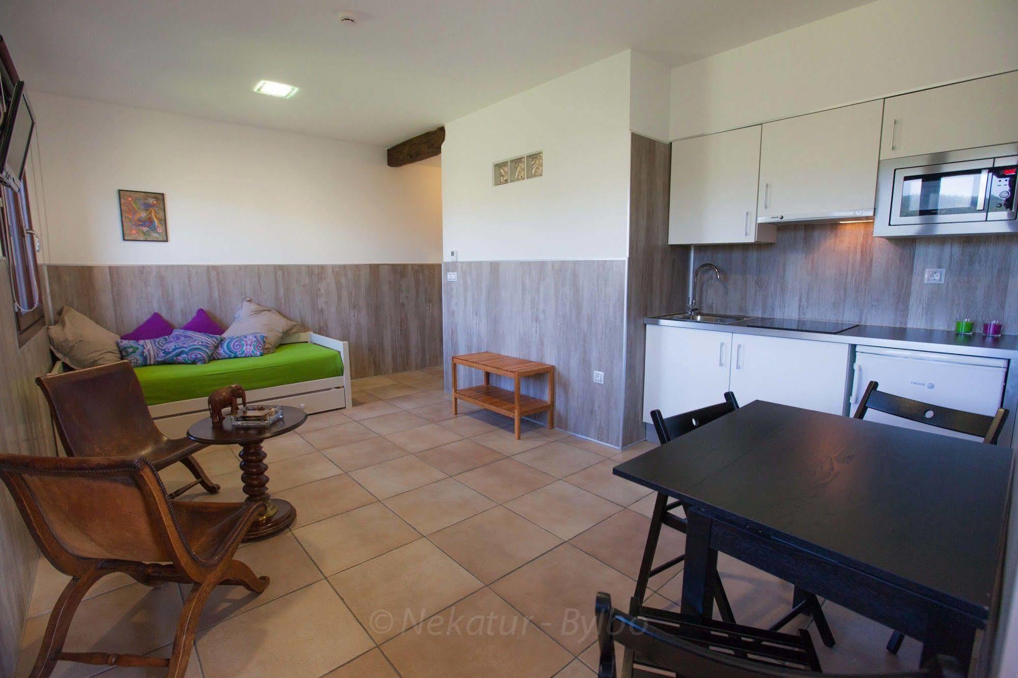Gorosarri Apartment Escoriaza Luaran gambar
