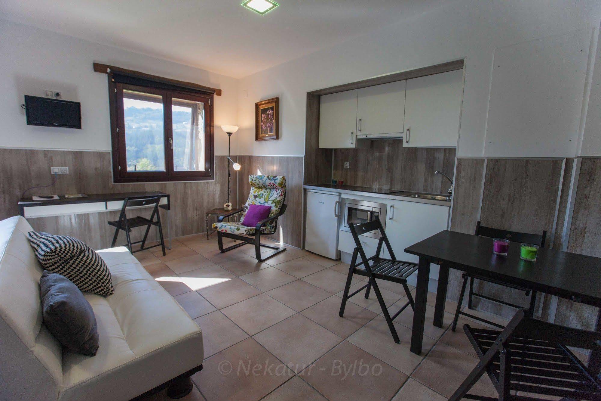 Gorosarri Apartment Escoriaza Luaran gambar